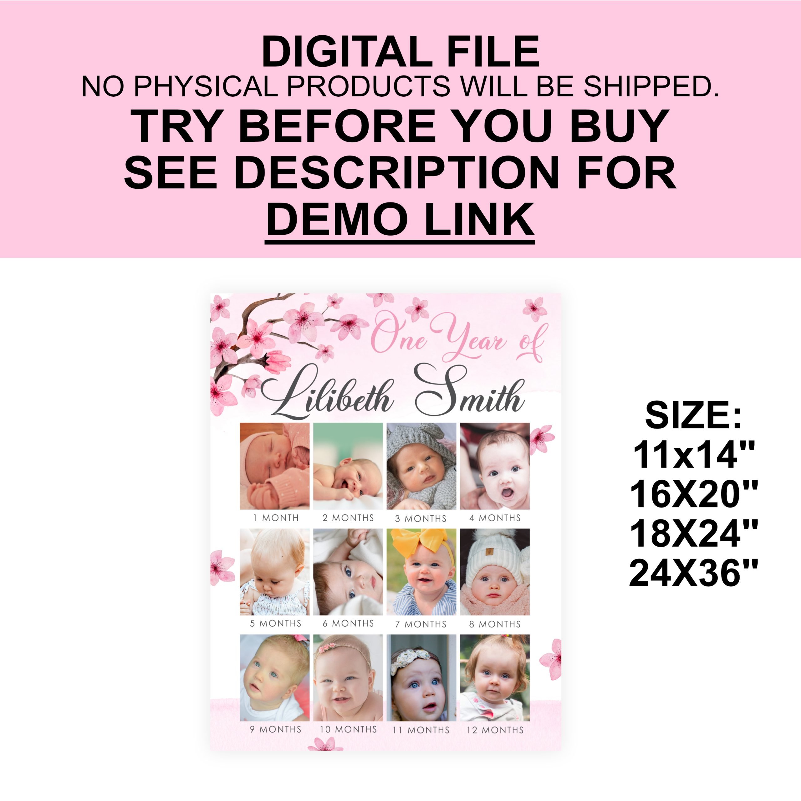 DECOR | SIGNS Editable Cherry Blossom Baby’s First Year Photo Poster – Pink Girl 1st Birthday – Corjl Template Baby Milestone Celebration