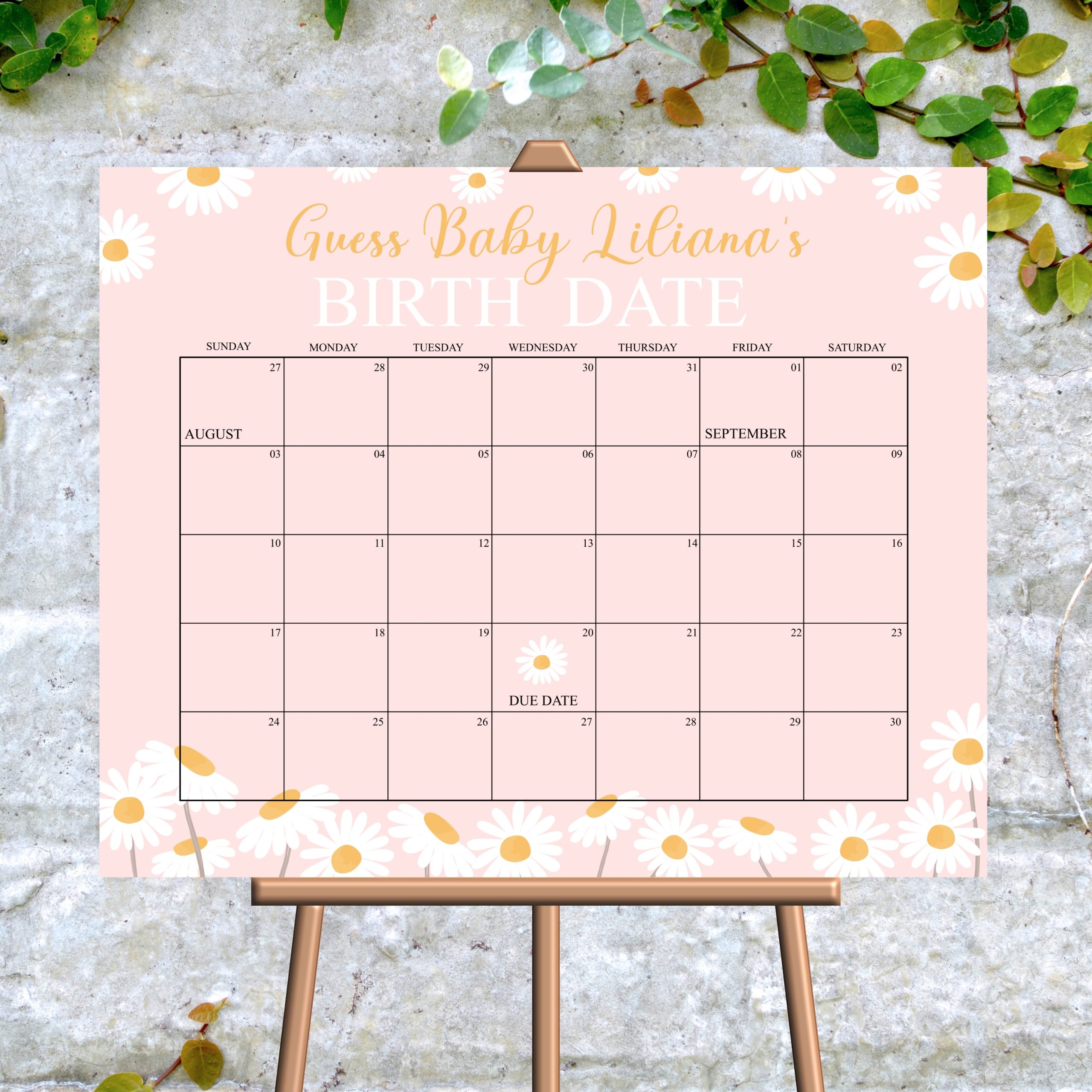 Baby Due Date Chart Game Editable Daisy Baby Due Date Calendar Game, PRINTABLE, Guess Baby’s Birth Date Baby Due Date Guessing Game Printable