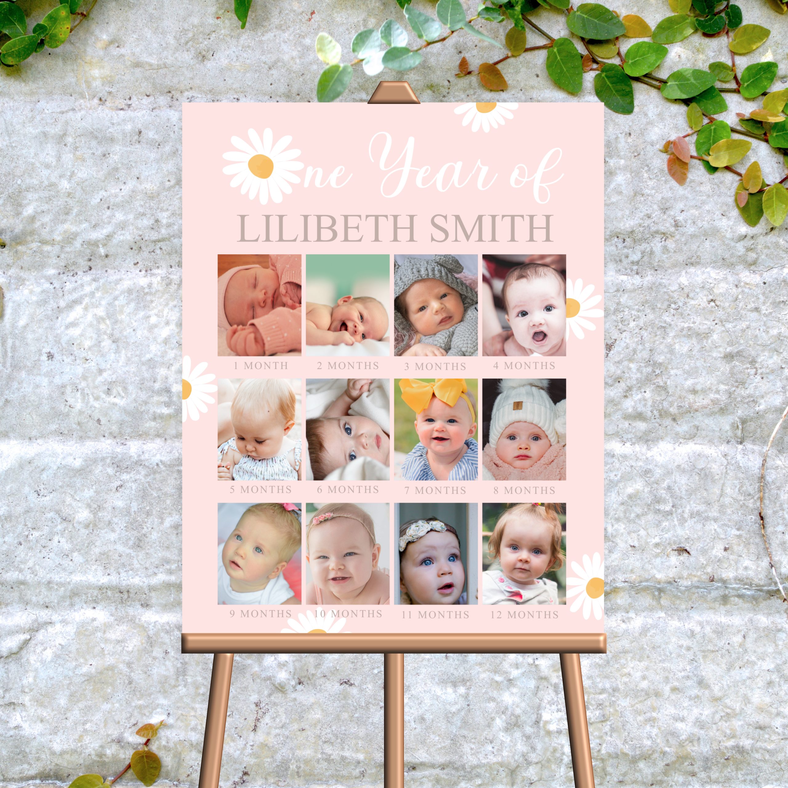 DECOR | SIGNS Editable Daisy Baby’s First Year Photo Poster Milestone, PRINTABLE, Daisy Boho 1st Birthday Baby's First Year Keepsake
